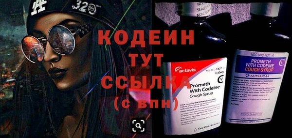 PSILOCYBIN Аша