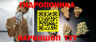 индика Гусев