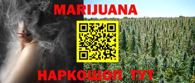 индика Гусев