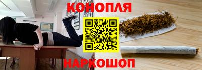 индика Гусев