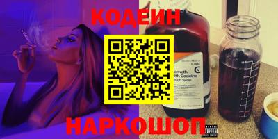 индика Гусев