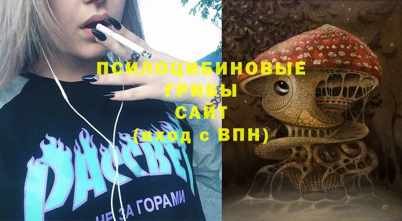 Галлюциногенные грибы Psilocybine cubensis  как найти закладки  Курчатов 