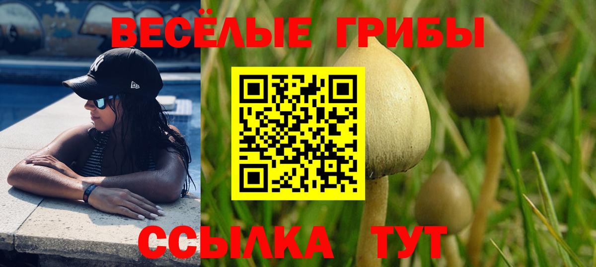Курчатов  ГАШ  Альфа ПВП СК   МЕФ кристаллы  АМФ кристаллы  Вход с VPN  Канабис  Кокаин  MDMA 